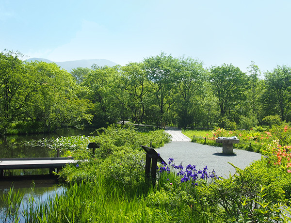 箱根湿生花園