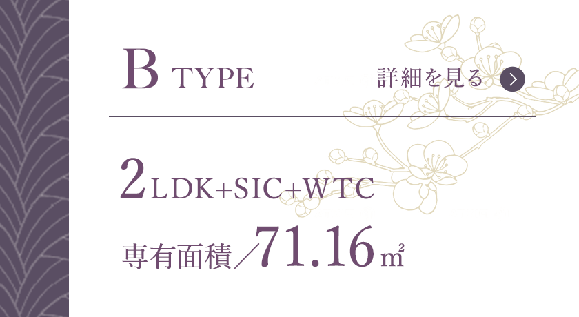 B type